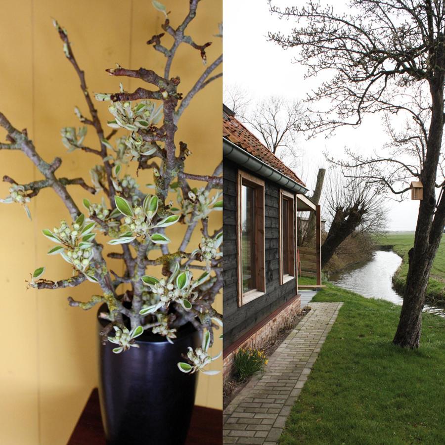 Tante W Guest House Wijtgaard Exterior photo